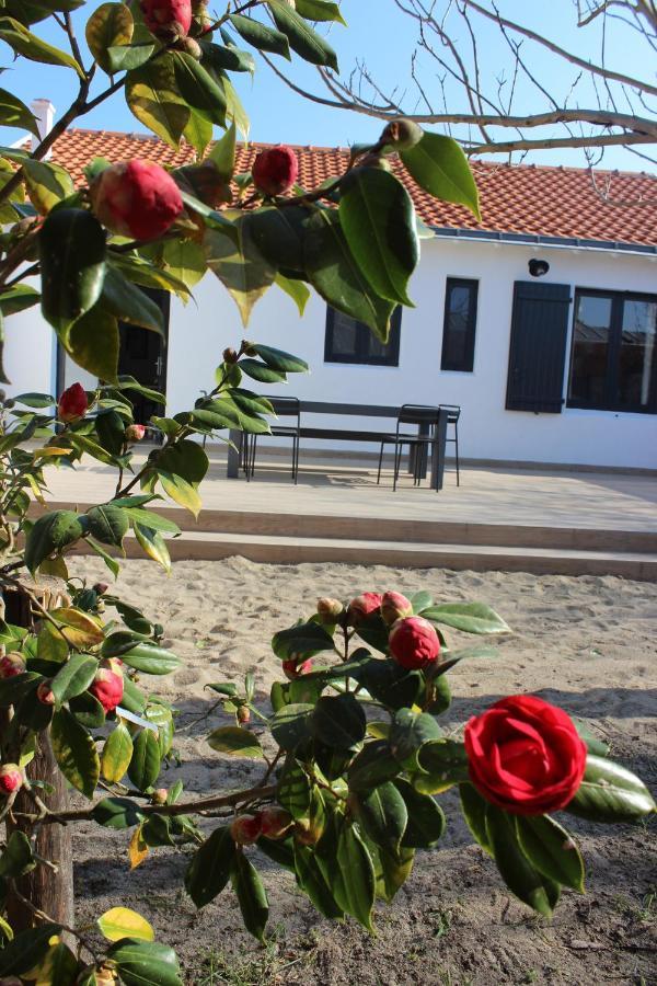 Maison 8 Personnes A 100 M De La Plage De La Clere Le Grand Vieil Εξωτερικό φωτογραφία